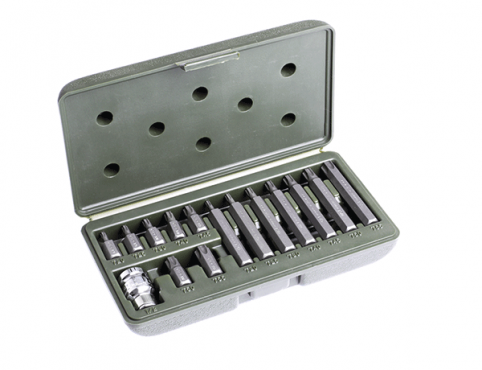 Набор вставок 3/8 Torx 15пр. (Т20,Т25,Т30,Т40,Т45,Т50,Т55,L=30 и 75мм с переходником 1/2) "ДТ"